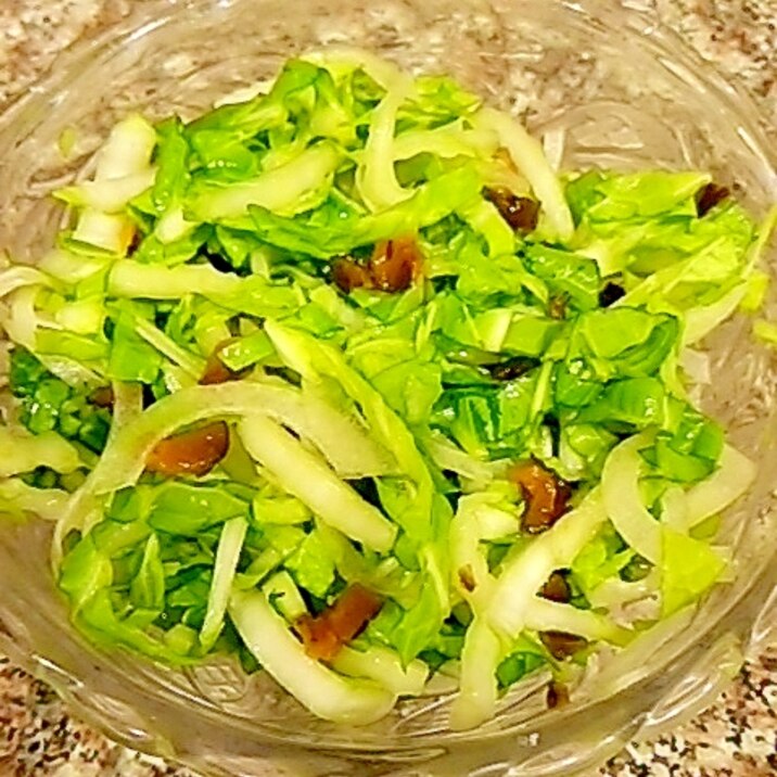 白菜と玉ねぎのキューちゃんサラダ